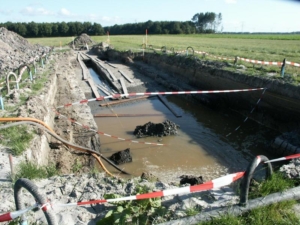 Veldcursus 2006