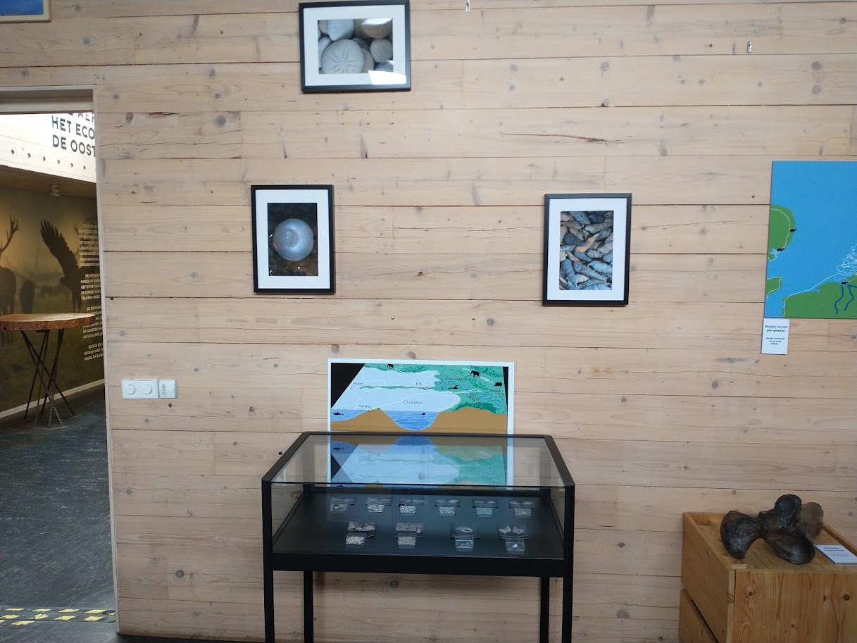 Tentoonstelling in bezoekerscentrum Oostvaarders AWN Flevoland