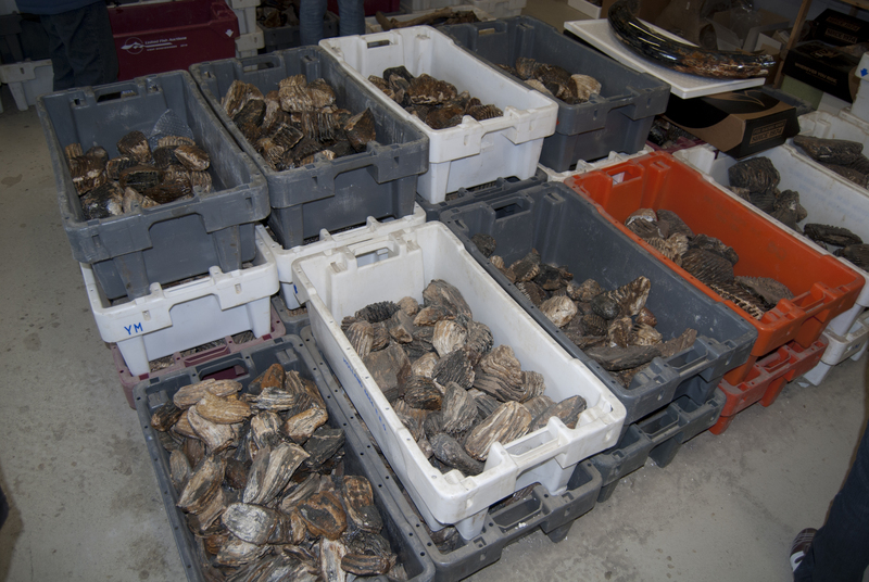 Werkbezoek Urk AWN Flevoland