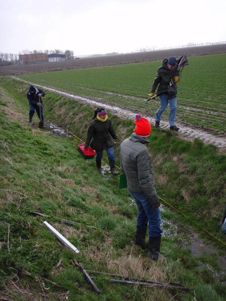 Tollebeek boooronderzoek 2008