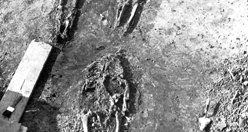 Drie skeletten gevonden in Oostelijk Flevoland