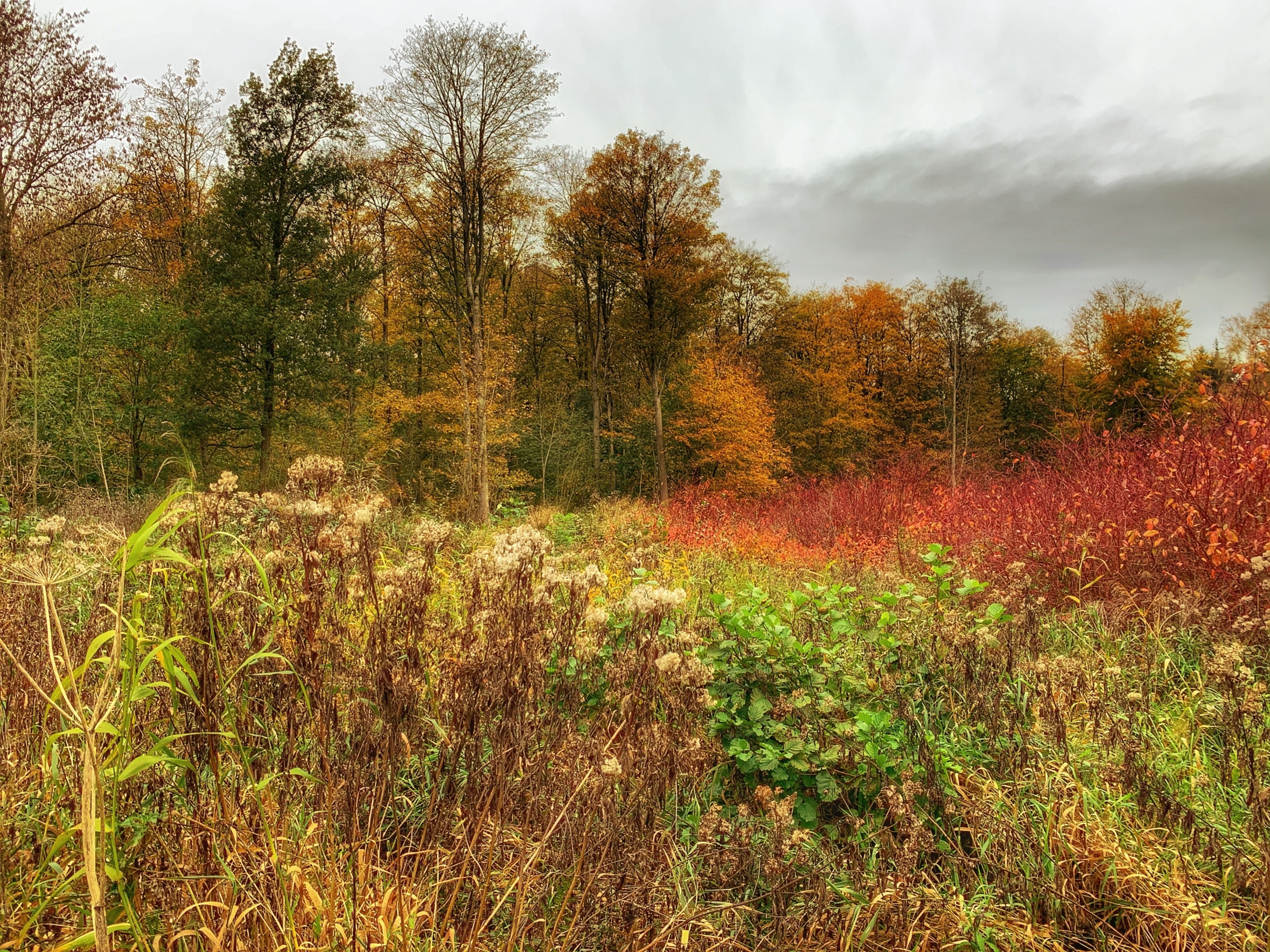 Herfst in Marknesse