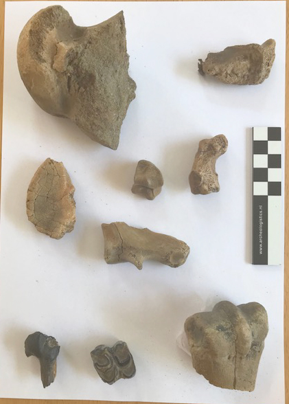 Vondsten Marker Wadden