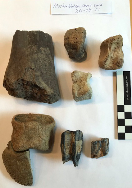 Botfragmenten Marker Wadden