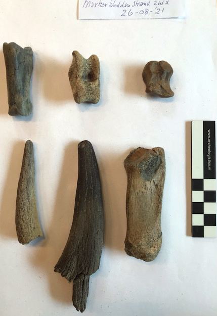 Botfragmenten van een hert, Marker Wadden