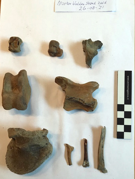 Botfragmenten, Marker Wadden